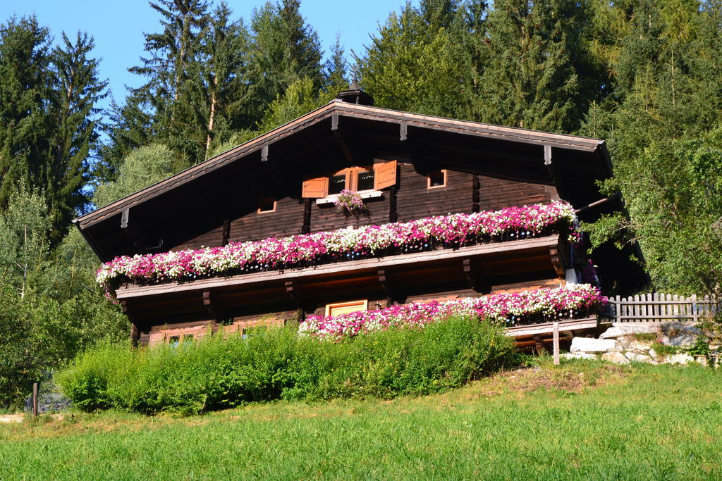 Haus Hinterfuerbach Appartement Wagrain Buitenkant foto